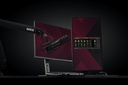 XDM-100