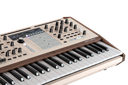 PolyBrute 12