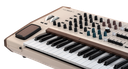 PolyBrute 12