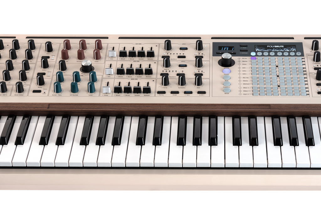 PolyBrute 12