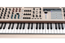 PolyBrute 12
