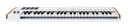 Arturia KeyLab 49 mk3 White