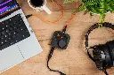 ARC_ON_EAR_MG_8831_r.webp