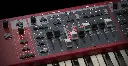 NE7 - Organ - 260108.webp