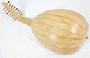 Heritage 8 Course Renaissance Lute with case
