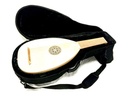 Heritage 8 Course Renaissance Lute with case