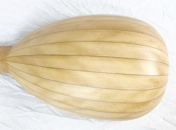 Heritage 8 Course Renaissance Lute with case