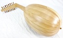 Heritage 8 Course Renaissance Lute with case