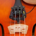 Violin Clip