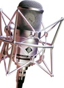 Neumann M 147 Tube (Nickel)