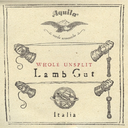 Aquila 60FU