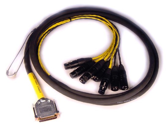Avid Digisnake DB25-XLRM/F AES/EBU 4' / 1,2m