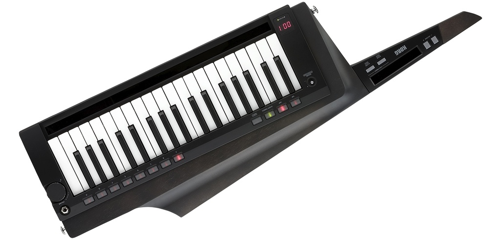 Korg RK-100S 2 Black