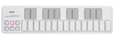 Korg NANOKEY 2 WHITE