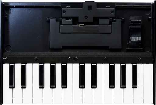 [ROLK25M] Roland K-25M