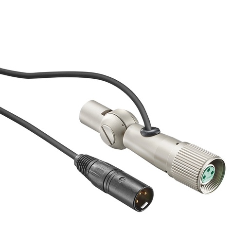 [NEU006547] Neumann IC 4