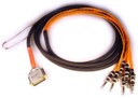 Avid Digisnake DB25-TRS 12' / 3,6m