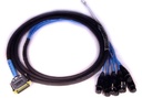 Avid Digisnake DB25-XLRF 4' / 1,2m