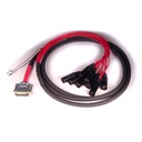 Avid Digisnake DB25-XLRM 4' / 1,2m