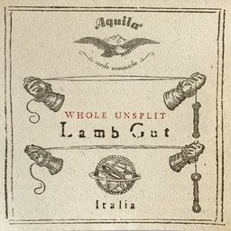 Aquila-12S Violin Lamb Set Light