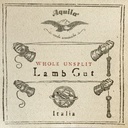 Aquila 15S Viola Lamb Set Light