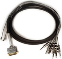 Avid Digisnake DB25-TS  12' / 3,6m