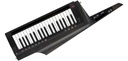 Korg RK-100S 2 Black