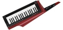 Korg RK-100S 2 Red